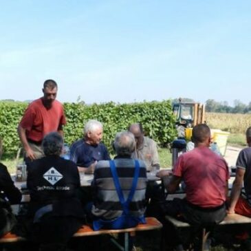 Vendanges – recrutement